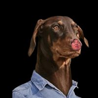 オリジナル楽曲 - やっぴー🤞🏿