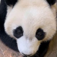 nhạc nền - Nguyễn Thị Liên🎀