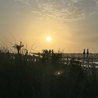 jafar__020