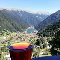 bahar.....kokusu61