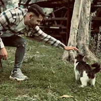 original sound - omermms77