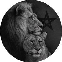 habib_qayomi