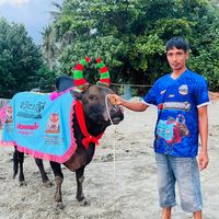 mim_yah_0306