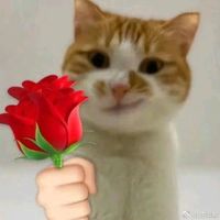 nhạc nền - HồngNhung ☻