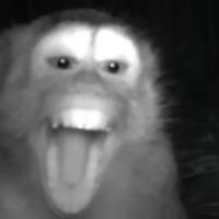 etabebebe