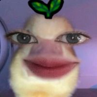 sukaasukaaa02