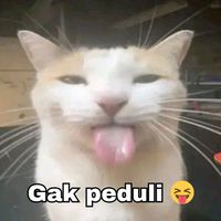 o._okh