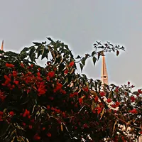 original sound - haleema_773