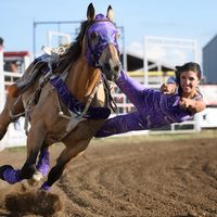 graciepipertrickriding