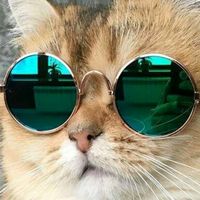 crazy_pubg8