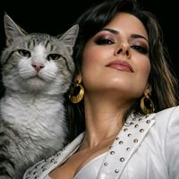 soy_yennycat
