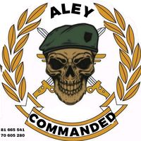 commandedaley81665541