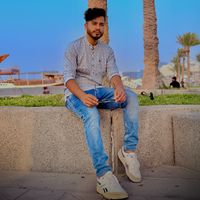 raj617347
