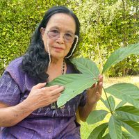 grandmomherb
