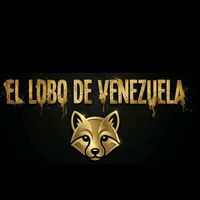 ellobovenezuela8