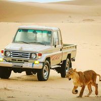 الصوت الأصلي