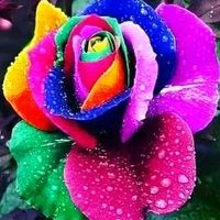 မူရင်းအသံ - ကိုဇော်