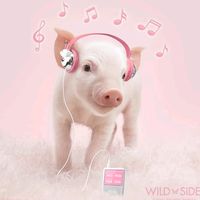 sonido original