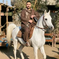 original sound - raed.alomda