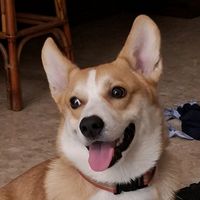 original sound - Bong slrang  yany