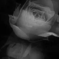 original sound - story_s035