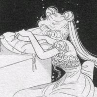 usamoon_