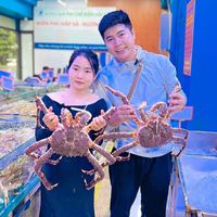 nhạc nền - Hoàng Xôi