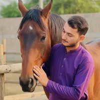 original sound - saif.rajput92