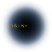 vibin.everywhere