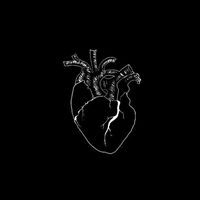 suara asli - detakLirik🫀