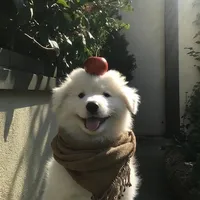 แจกกกๆๆ