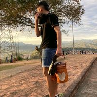 nico.vp8