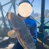 zains_sydney_fishing