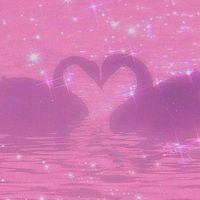 ...aesthetic..videoo