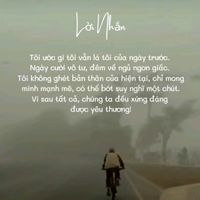 vibanxungdangg