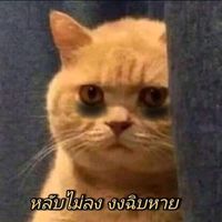เสียงต้นฉบับ - อา'หมวย🍭🌻