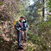 ankitthapa379