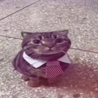 оригинальный звук - PLAYAHATE Music