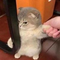 오리지널 사운드 - 나랑 결혼하쟈💍