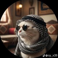 riyad03333