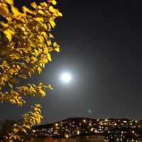 nimet.su