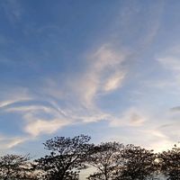 hninyuwai861