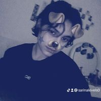 sarinalevels0