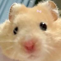 nunaanun_