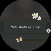 inayaa7643
