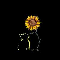 sunflower_19981