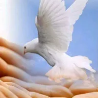 original sound - gloriaadios14