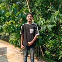 rakib6518