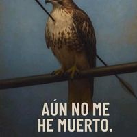 ocalito2.0
