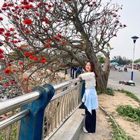 nhạc nền - Linh Chi Nguyễn 🇻🇳❤️